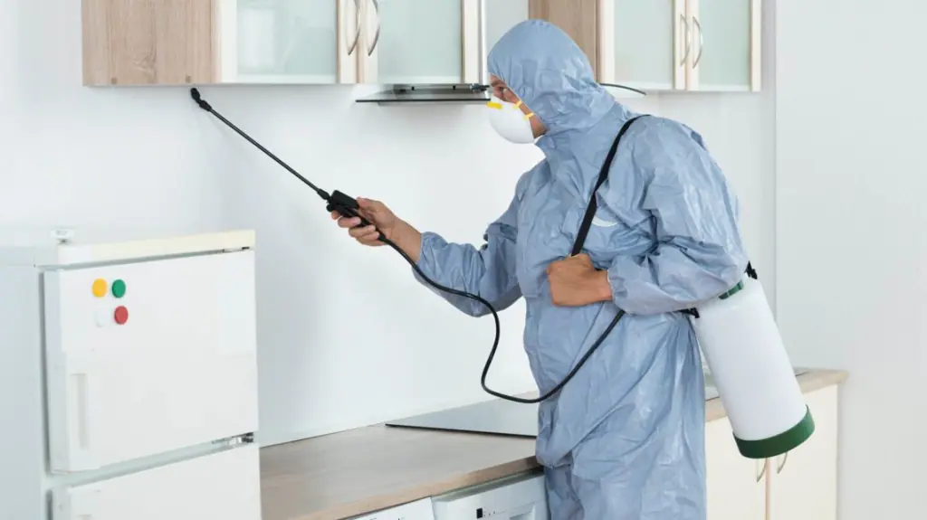 شركة رش حشرات في ابوظبي