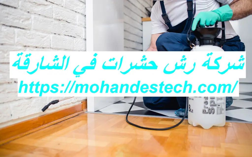 شركة رش حشرات في الشارقة