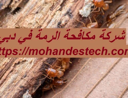 شركة مكافحة الرمة في دبي |0522814040| مكافحة الحشرات