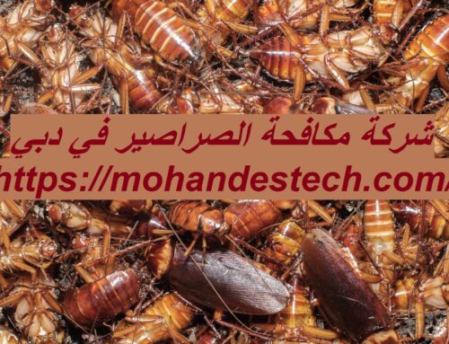 شركة مكافحة الصراصير في دبي |0561484426| لمكافحة الحشرات