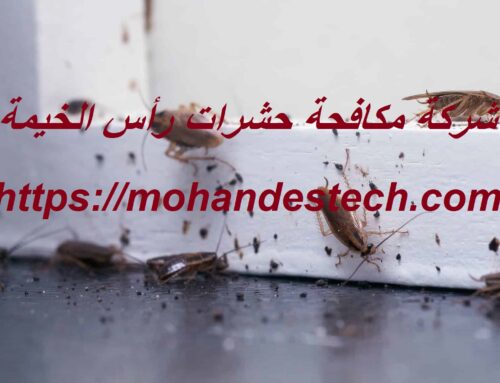 شركة مكافحة حشرات رأس الخيمة |0561484426