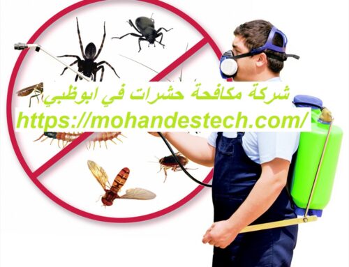 شركة مكافحة حشرات في ابوظبي |0522814040| ابادة تامة