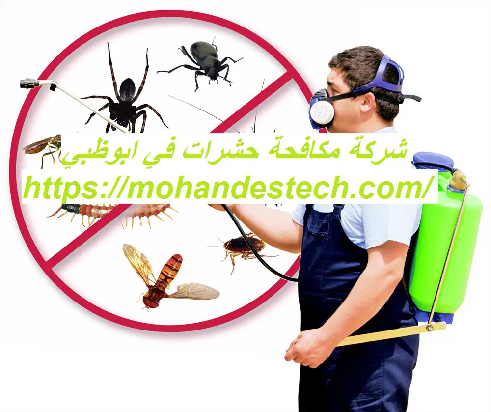 شركة مكافحة حشرات في ابوظبي