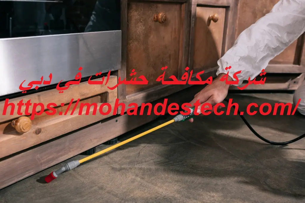 شركة مكافحة حشرات في دبي