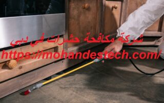 شركة مكافحة حشرات في دبي