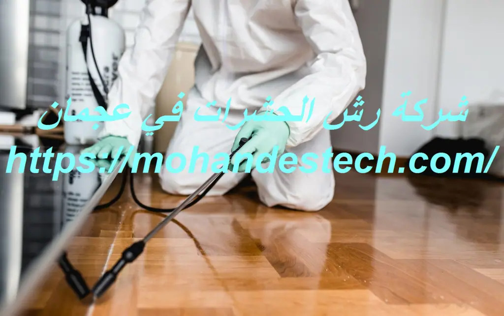 شركة رش الحشرات في عجمان