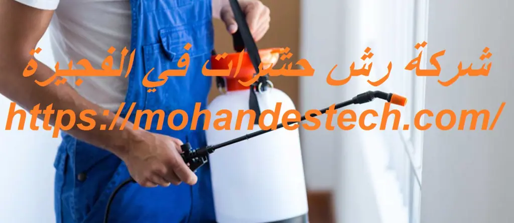 شركة رش حشرات في الفجيرة