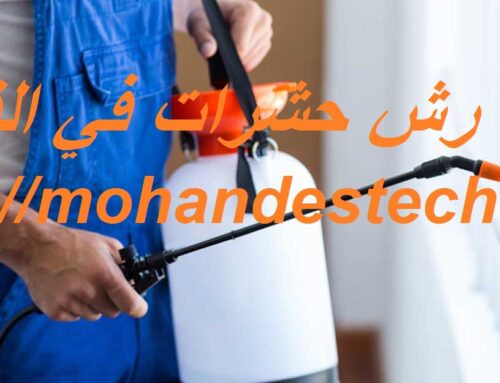 شركة رش حشرات في الفجيرة |0522814040| مكافحة حشرات