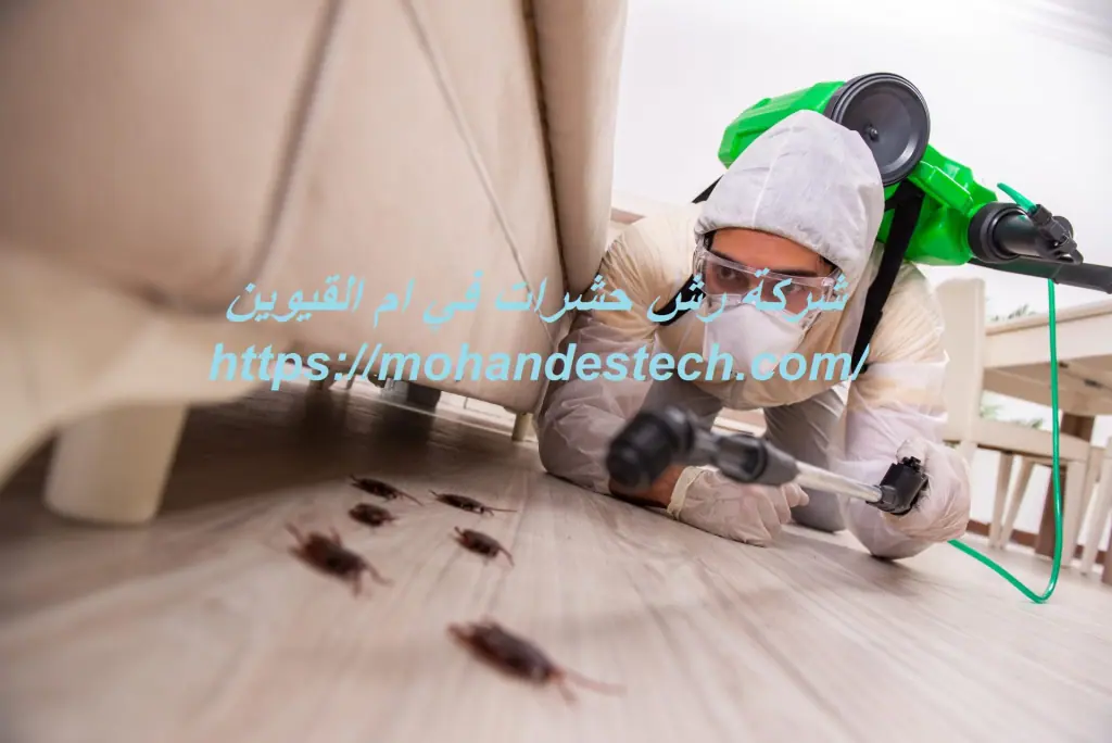 شركة رش حشرات في ام القيوين