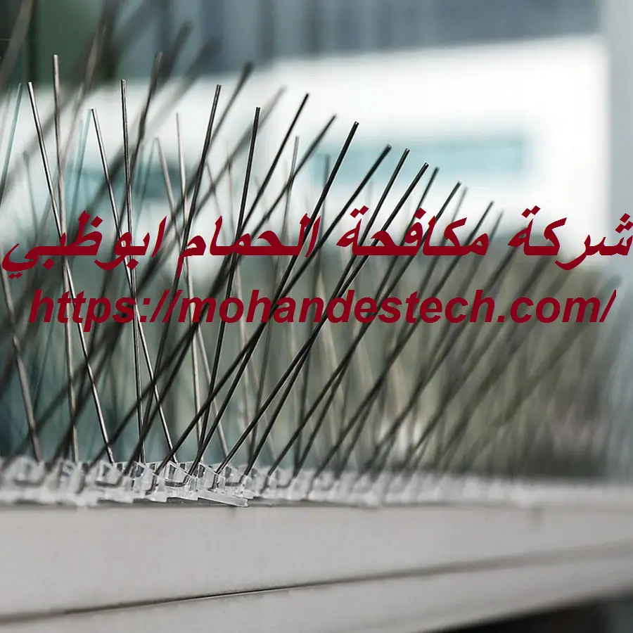 شركة مكافحة الحمام ابوظبي