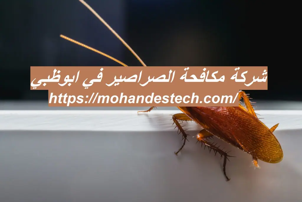 شركة مكافحة الصراصير في ابوظبي