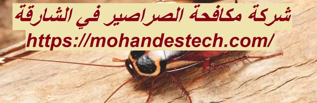 شركة مكافحة الصراصير في الشارقة