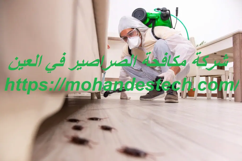 شركة مكافحة الصراصير في العين