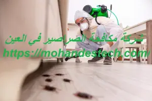 شركة مكافحة الصراصير في العين