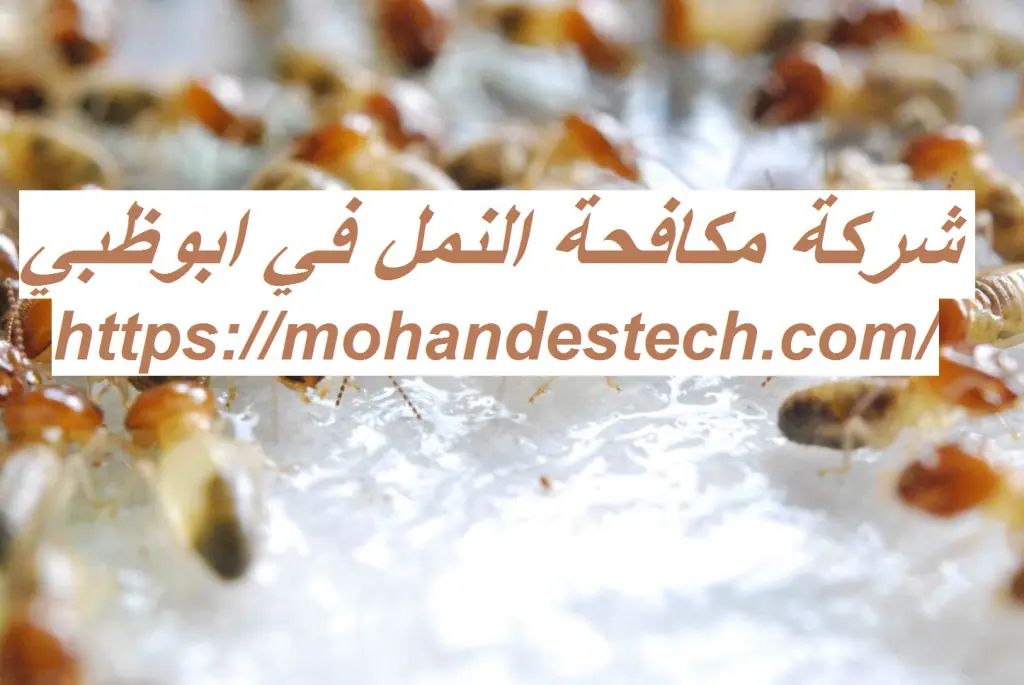 شركة مكافحة النمل في ابوظبي