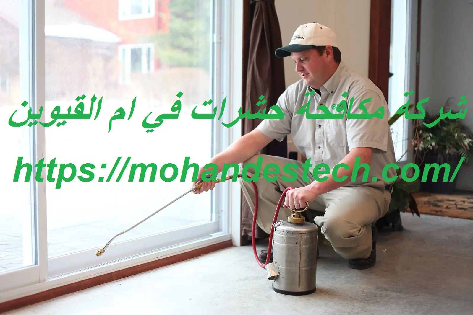 شركة مكافحة حشرات في ام القيوين