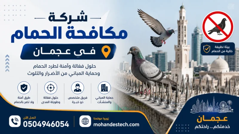 شركة مكافحة الحمام في عجمان |0504946054| تركيب اشواك