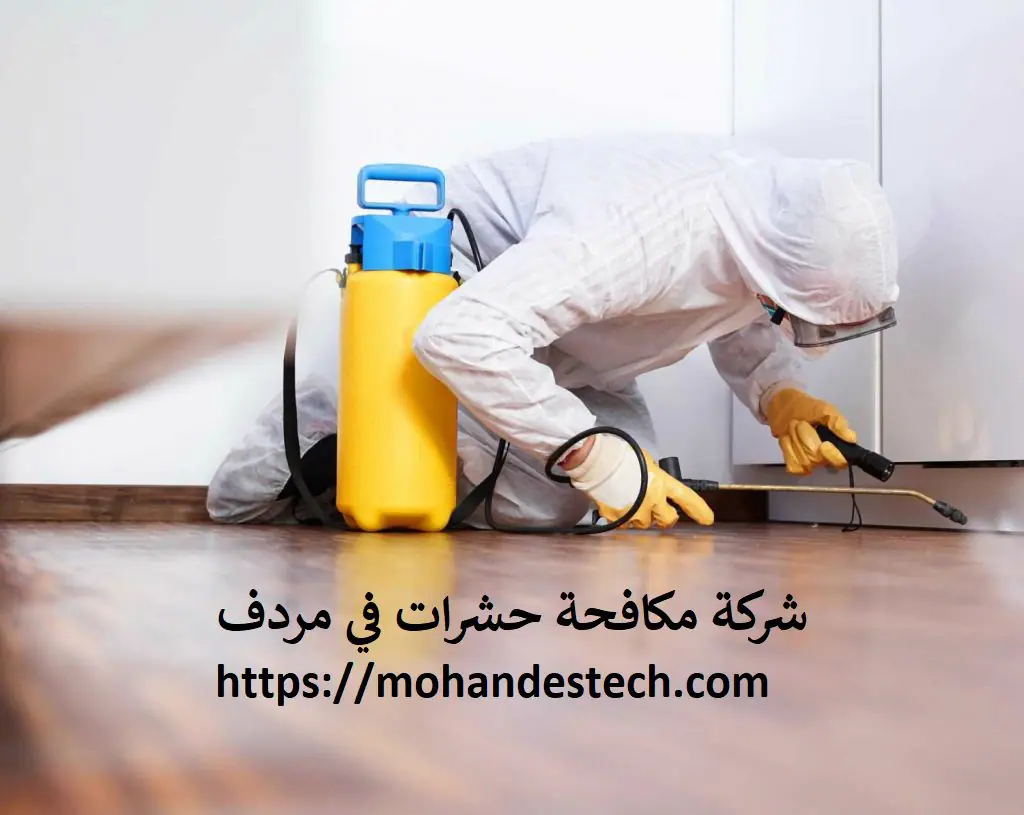 شركة مكافحة حشرات في مردف